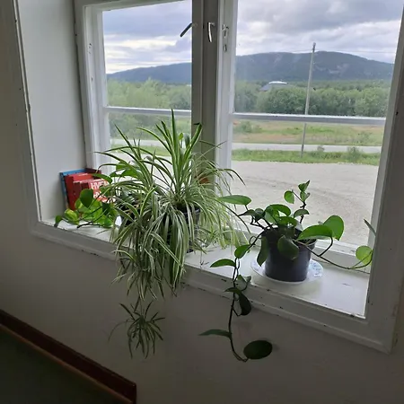 Lodge Porsangerfjorden